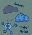A very basic overview of an Elvidi developing from a cocoon into a "baby" stage.