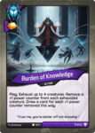 041 Burden of Knowledge