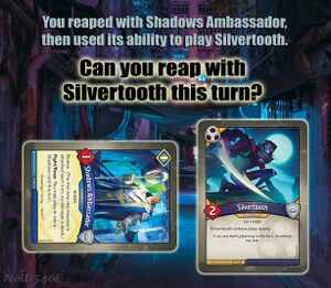 Silvertooth Ambassador.jpg