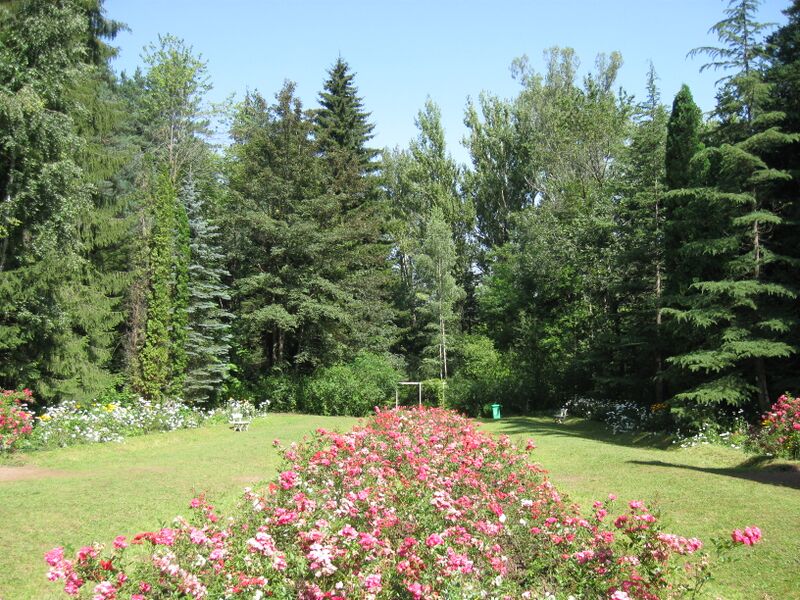 File:Stepanavan Dendropark, Lori.jpg