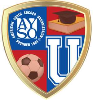 AYSOU logo-768x824.png