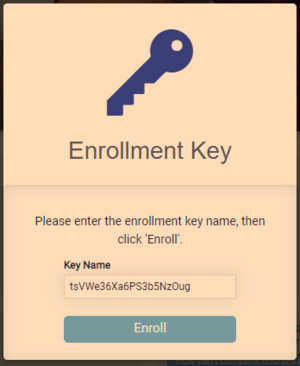 Safesport Enrollment Key.png