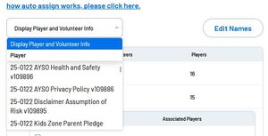 Teams 2.0 Display Player Info dropdown.jpg