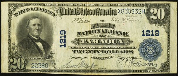 1902 Plain Back $20 bank note