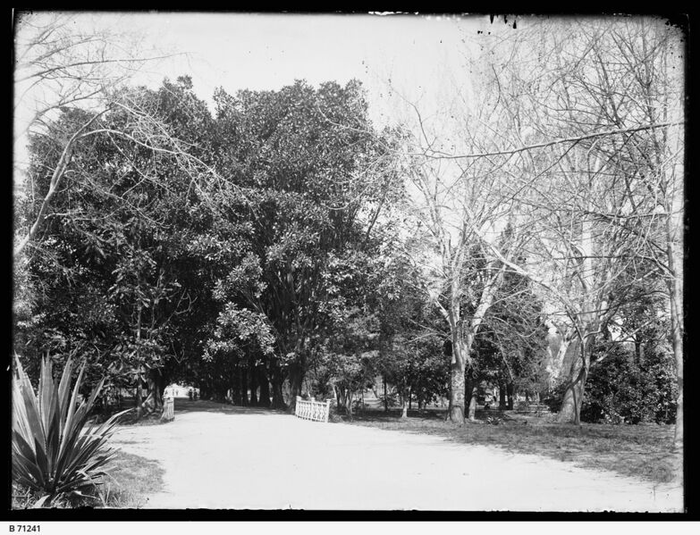 File:EHRP 5025 First Creek 1900 SLSA.jpeg