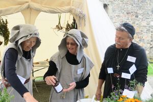 Festningsdagene 002.JPG