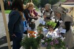 Festningsdagene 2016 Foto: Nina Aldin Thune