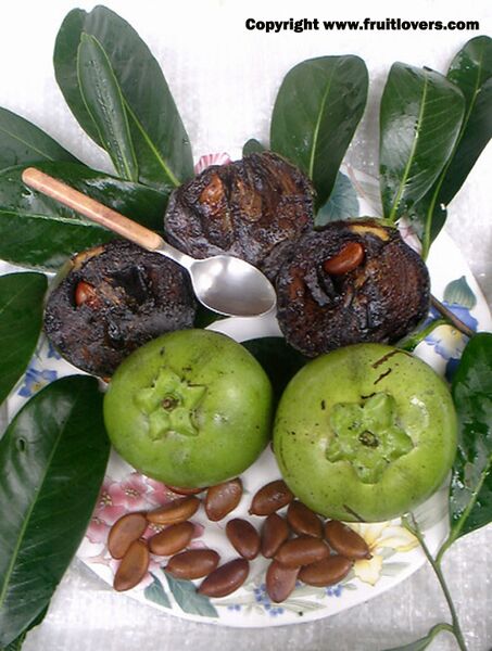 File:ChocolateSapote-fruitlovers.jpg