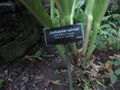 Thumbnail for version as of 20:02, 27 November 2009