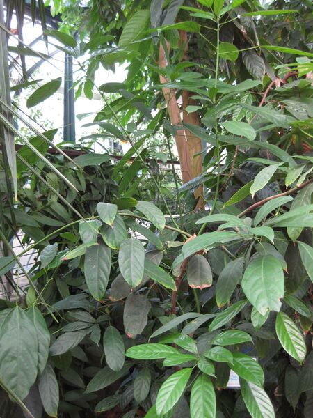 File:IMG 1696 hunt09oct.jpg