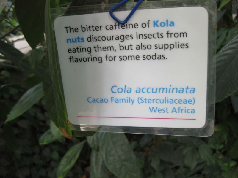 File:IMG 1697 hunt09oct.jpg