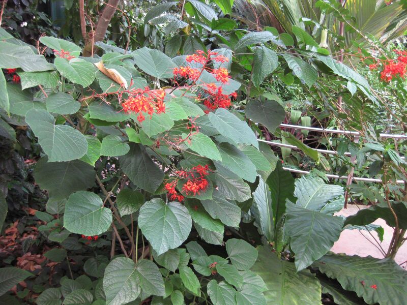 File:IMG 1703 hunt09oct.jpg