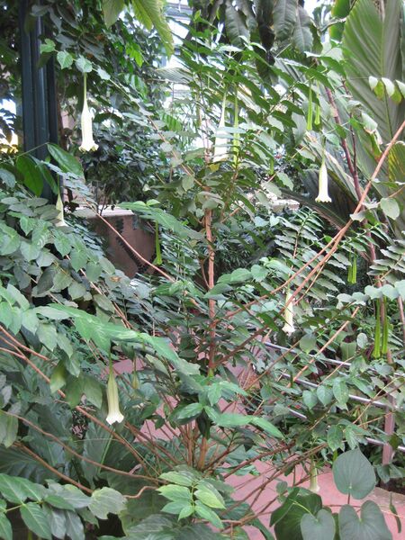 File:IMG 1706 hunt09oct.jpg