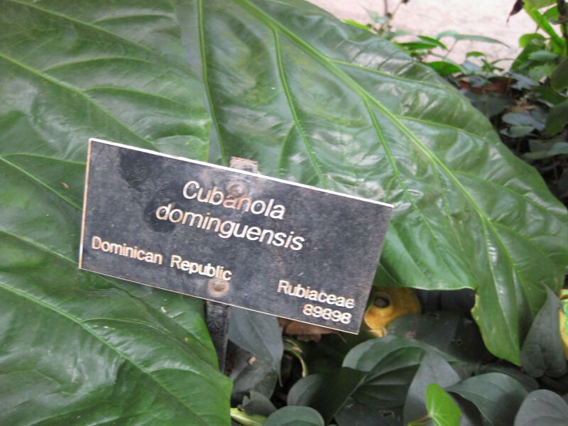 File:IMG 1707 hunt09oct.jpg