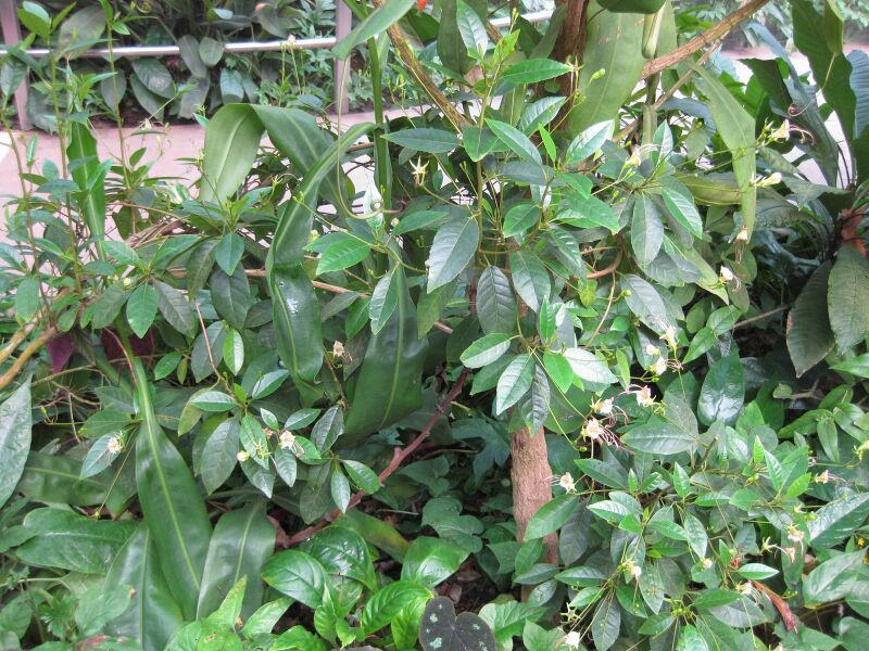 File:IMG 1712 hunt09oct.jpg