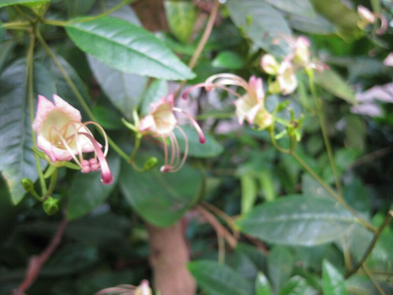 File:IMG 1714 hunt09oct.jpg