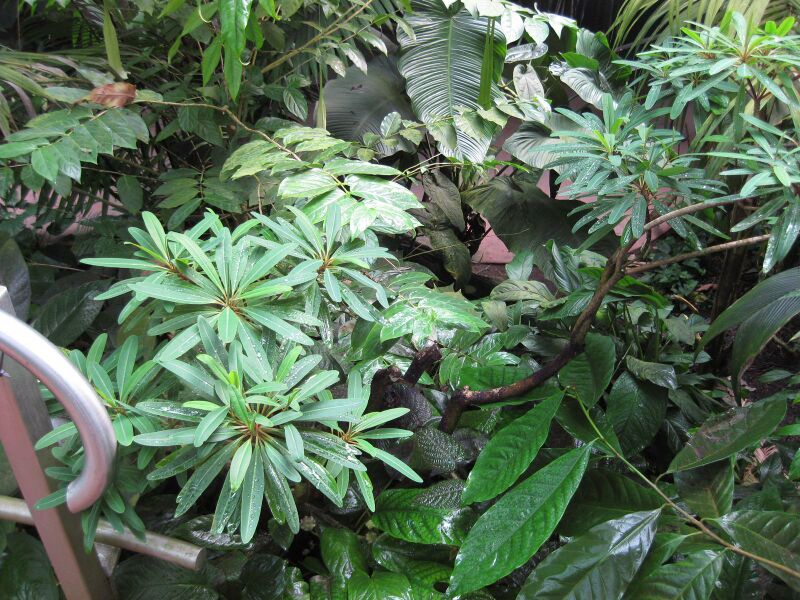 File:IMG 1723 hunt09oct.jpg