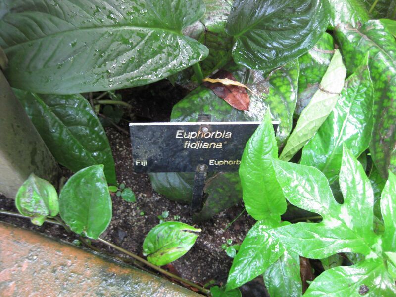 File:IMG 1724 hunt09oct.jpg