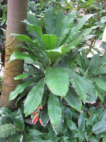 File:IMG 1726 hunt09oct.jpg