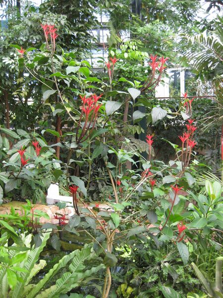 File:IMG 1728 hunt09oct.jpg