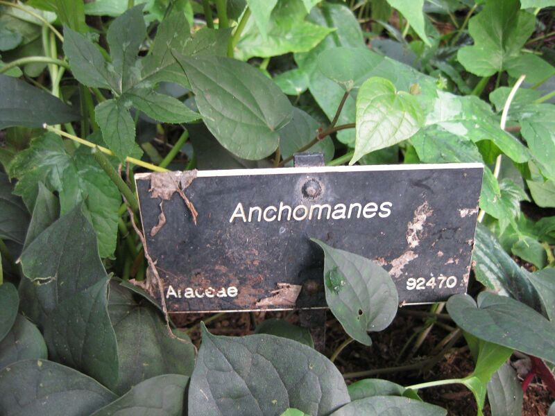 File:IMG 1734 hunt09oct.jpg