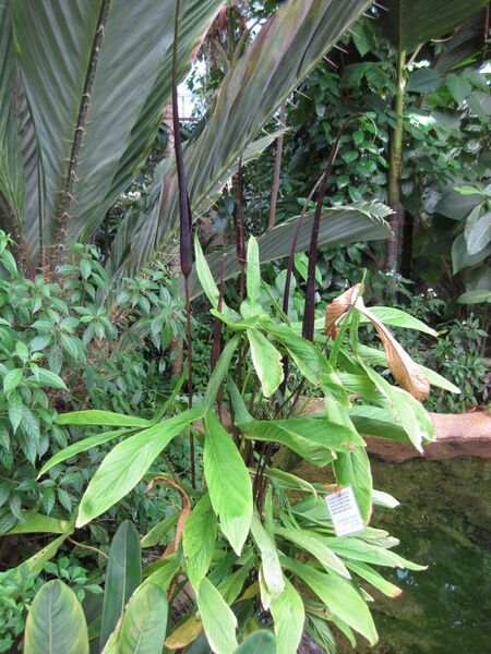 File:IMG 1736 hunt09oct.jpg