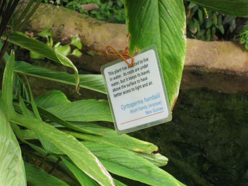 File:IMG 1738 hunt09oct.jpg