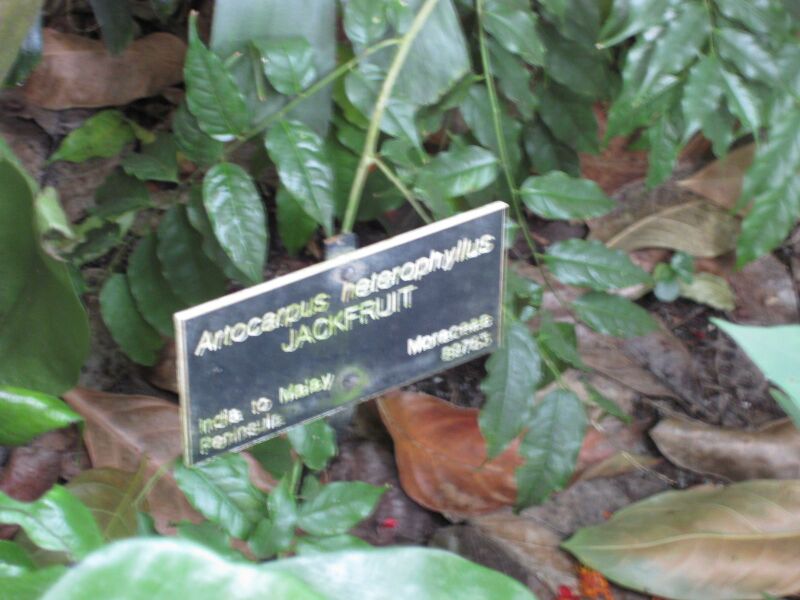 File:IMG 1742 hunt09oct.jpg