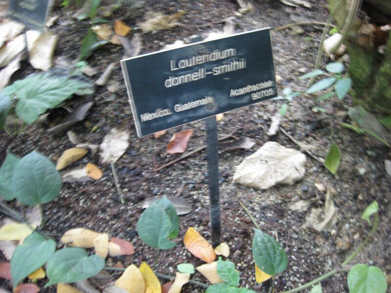 File:IMG 1750 hunt09oct.jpg