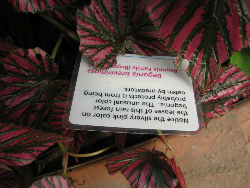 File:IMG 1752 hunt09oct.jpg