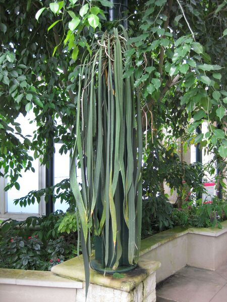 File:IMG 1758 hunt09oct.jpg