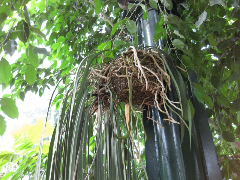 File:IMG 1759 hunt09oct.jpg