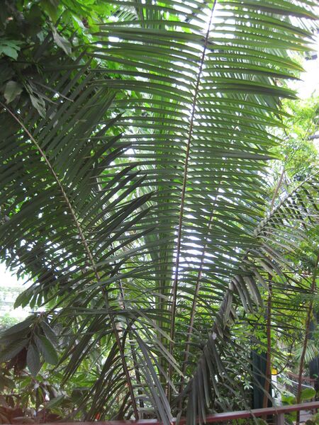 File:IMG 1771 hunt09oct.jpg