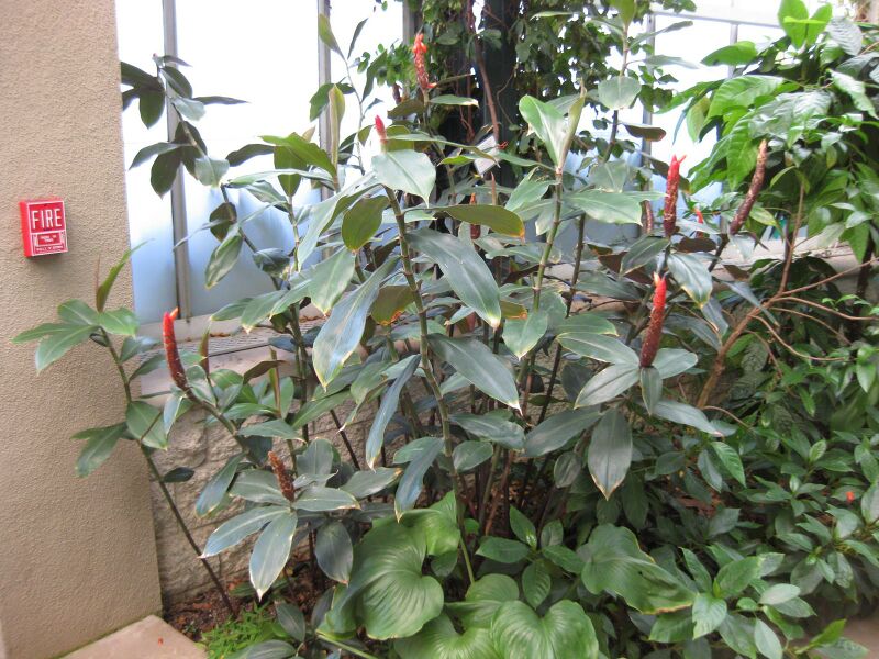 File:IMG 1773 hunt09oct.jpg