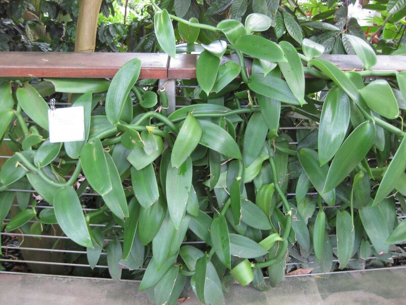 File:IMG 1774 hunt09oct.jpg