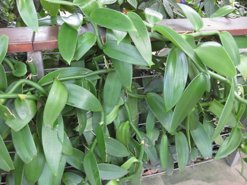 File:IMG 1775 hunt09oct.jpg