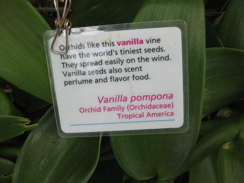 File:IMG 1776 hunt09oct.jpg