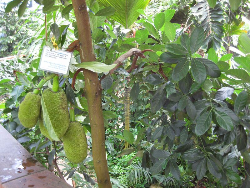 File:IMG 1777 hunt09oct.jpg