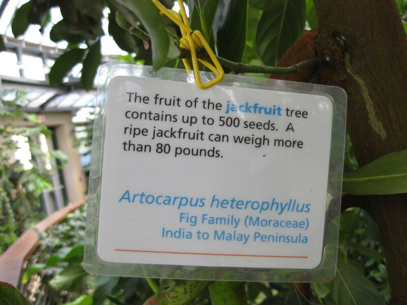 File:IMG 1778 hunt09oct.jpg