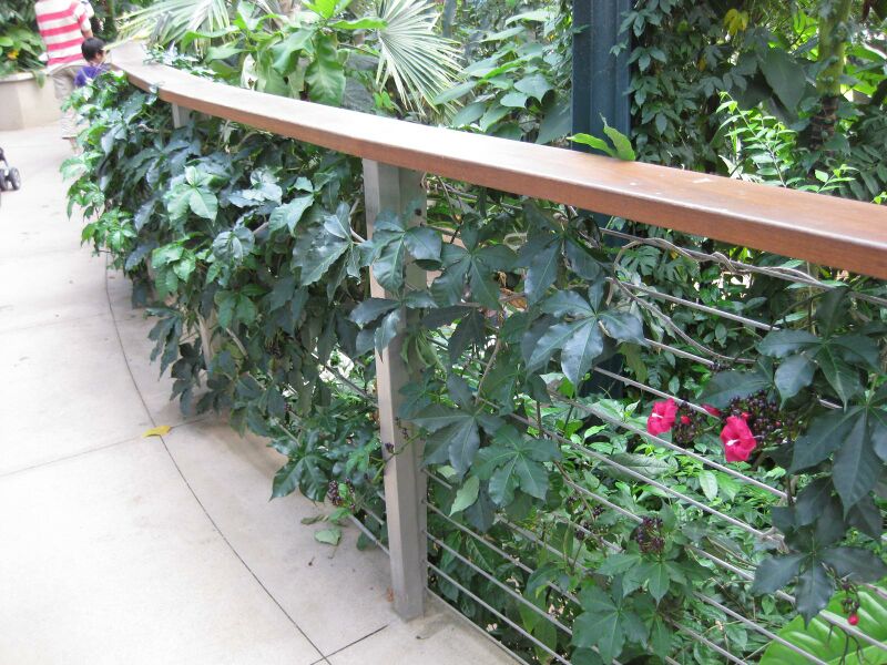 File:IMG 1779 hunt09oct.jpg