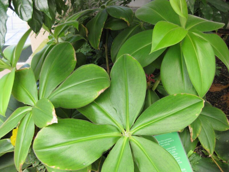 File:IMG 1799 hunt09oct.jpg