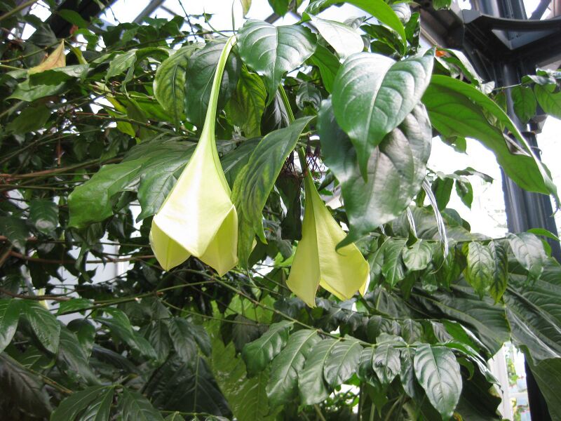 File:IMG 1804 hunt09oct.jpg