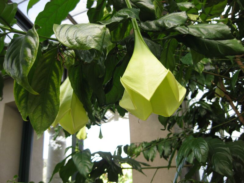 File:IMG 1805 hunt09oct.jpg