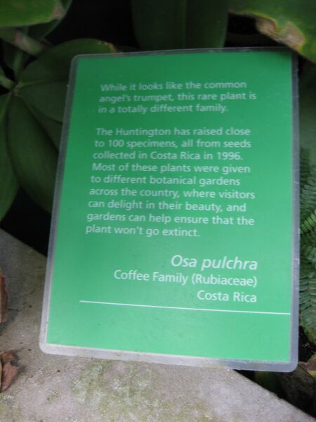 File:IMG 1807 hunt09oct.jpg