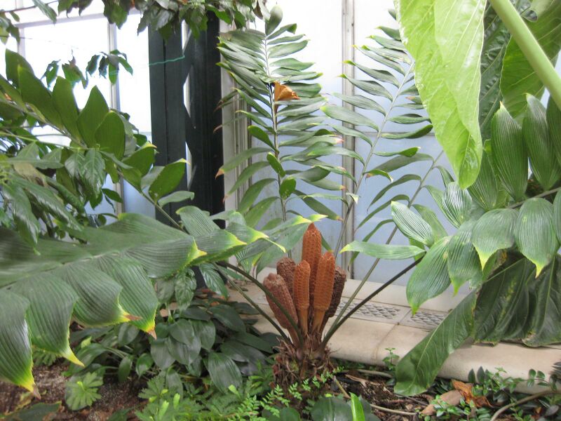 File:IMG 1808 hunt09oct.jpg