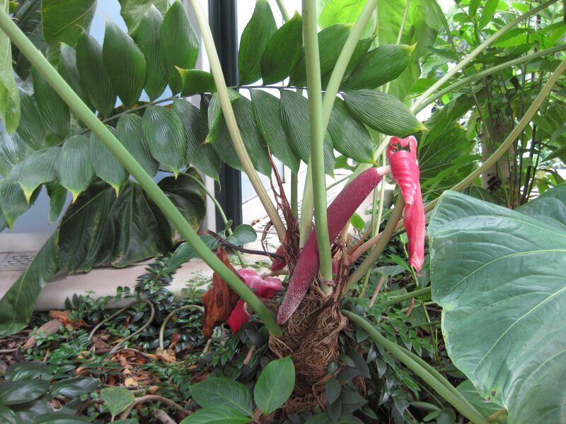 File:IMG 1811 hunt09oct.jpg