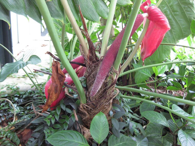 File:IMG 1812 hunt09oct.jpg