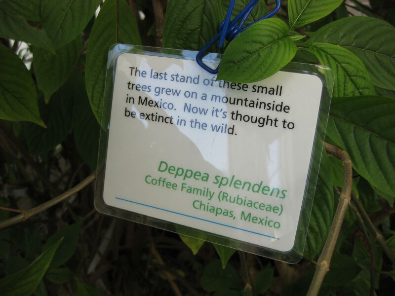 File:IMG 1817 hunt09oct.jpg