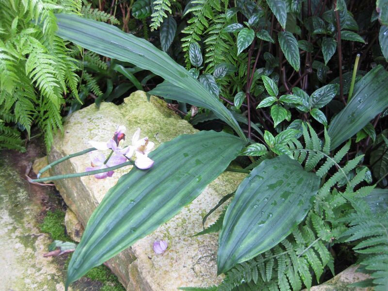 File:IMG 1832 hunt09oct.jpg