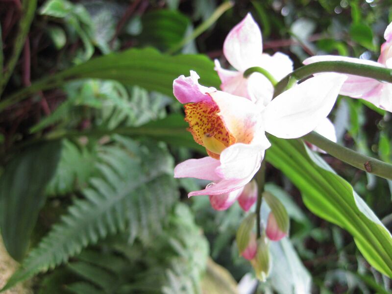 File:IMG 1834 hunt09oct.jpg